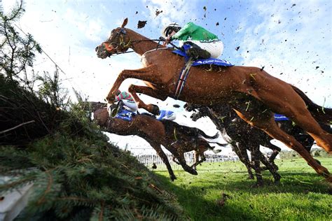 Grand National 2023: Pinstickers’ guide to all the runners and riders in S.